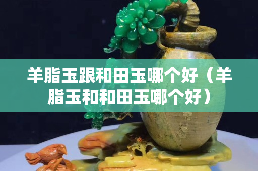 羊脂玉跟和田玉哪個好（羊脂玉和和田玉哪個好）