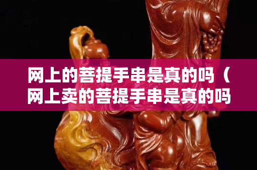 網上的菩提手串是真的嗎（網上賣的菩提手串是真的嗎）