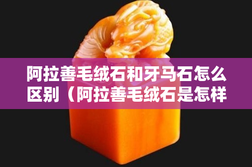 阿拉善毛絨石和牙馬石怎么區(qū)別（阿拉善毛絨石是怎樣形成的）