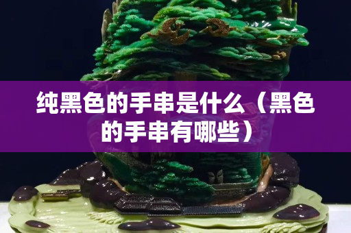 純黑色的手串是什么（黑色的手串有哪些）