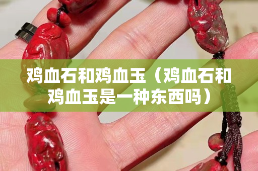 雞血石和雞血玉（雞血石和雞血玉是一種東西嗎）