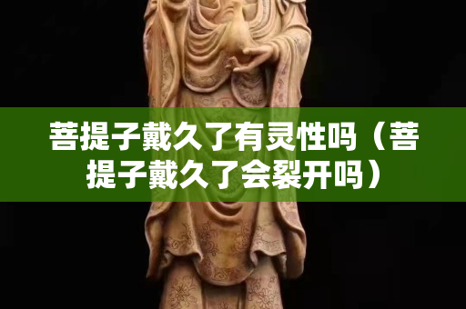 菩提子戴久了有靈性嗎（菩提子戴久了會裂開嗎）
