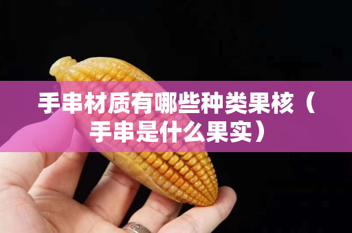 手串材質(zhì)有哪些種類果核（手串是什么果實）