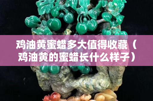雞油黃蜜蠟多大值得收藏（雞油黃的蜜蠟長什么樣子）