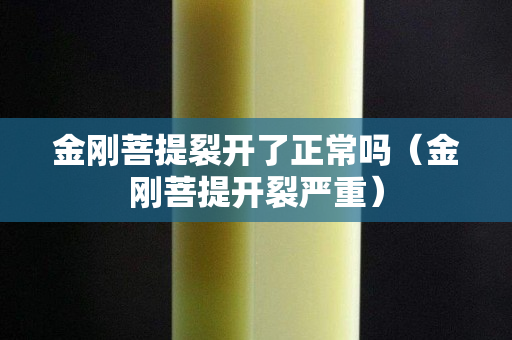 金剛菩提裂開了正常嗎（金剛菩提開裂嚴(yán)重）