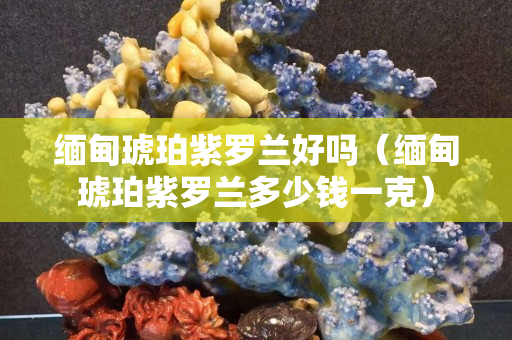 緬甸琥珀紫羅蘭好嗎（緬甸琥珀紫羅蘭多少錢一克）