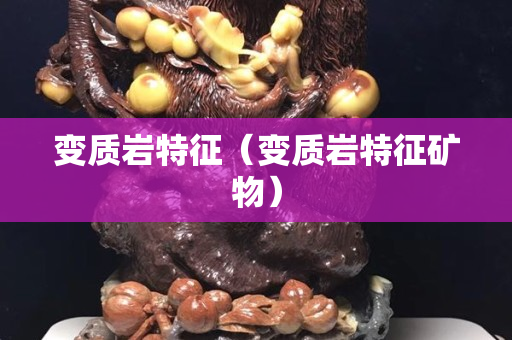變質(zhì)巖特征（變質(zhì)巖特征礦物）