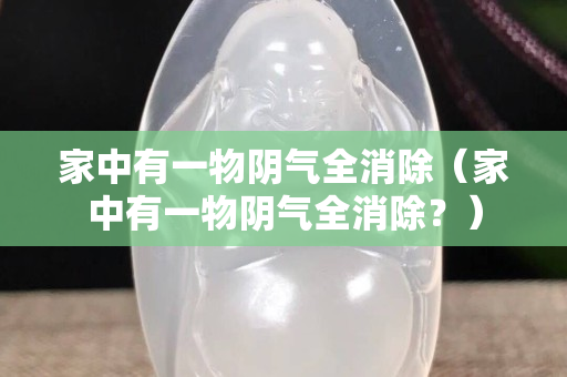 家中有一物陰氣全消除（家中有一物陰氣全消除？）