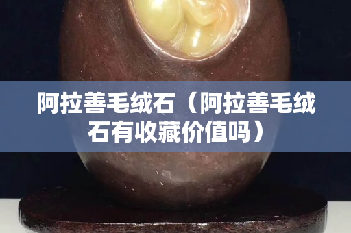 阿拉善毛絨石（阿拉善毛絨石有收藏價(jià)值嗎）