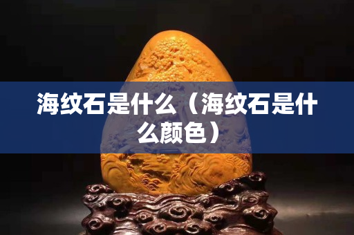 海紋石是什么（海紋石是什么顏色）