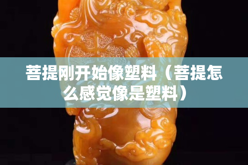 菩提剛開始像塑料（菩提怎么感覺像是塑料）