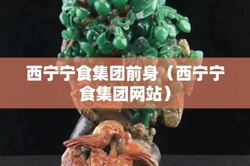 西寧寧食集團前身（西寧寧食集團網站）