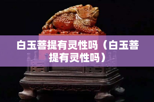 白玉菩提有靈性嗎（白玉菩提有靈性嗎）