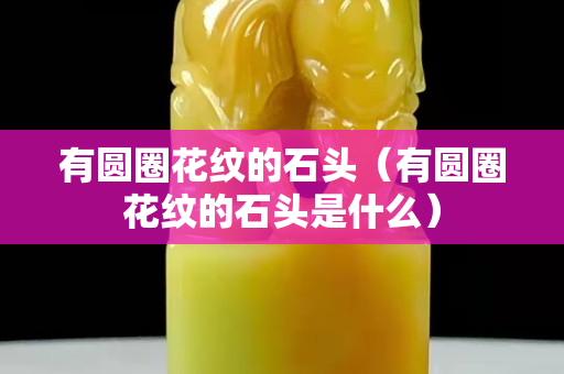 有圓圈花紋的石頭（有圓圈花紋的石頭是什么）