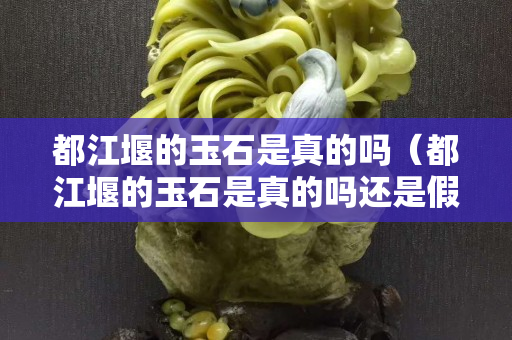 都江堰的玉石是真的嗎（都江堰的玉石是真的嗎還是假的）