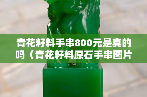 青花籽料手串800元是真的嗎（青花籽料原石手串圖片）