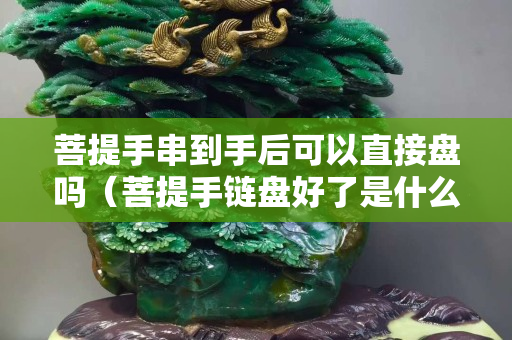 菩提手串到手后可以直接盤嗎（菩提手鏈盤好了是什么樣子的）