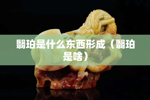 翳珀是什么東西形成（翳珀是啥）