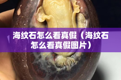 海紋石怎么看真假（海紋石怎么看真假圖片）