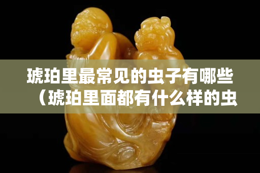 琥珀里最常見的蟲子有哪些（琥珀里面都有什么樣的蟲）