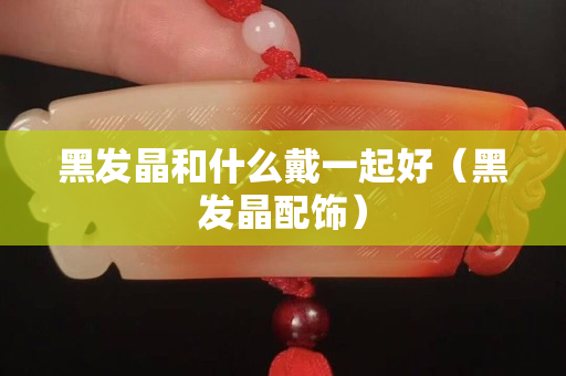 黑發(fā)晶和什么戴一起好（黑發(fā)晶配飾）