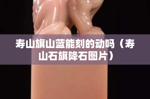 壽山旗山藍能刻的動嗎（壽山石旗降石圖片）