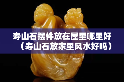 壽山石擺件放在屋里哪里好（壽山石放家里風水好嗎）