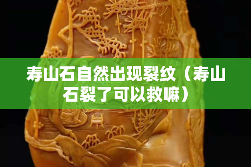 壽山石自然出現裂紋（壽山石裂了可以救嘛）