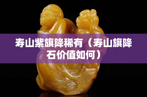 壽山紫旗降稀有（壽山旗降石價值如何）
