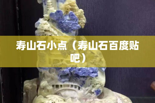 壽山石小點（壽山石百度貼吧）