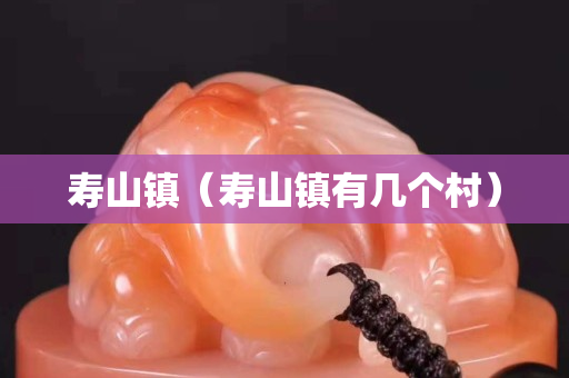 壽山鎮（壽山鎮有幾個村）
