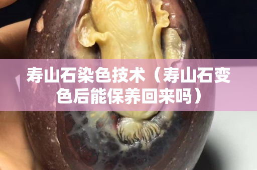 壽山石染色技術(shù)（壽山石變色后能保養(yǎng)回來嗎）