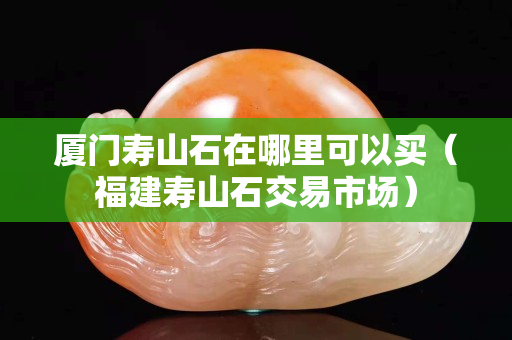 廈門壽山石在哪里可以買（福建壽山石交易市場）