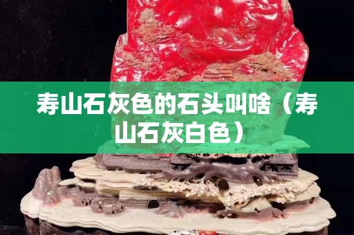 壽山石灰色的石頭叫啥（壽山石灰白色）