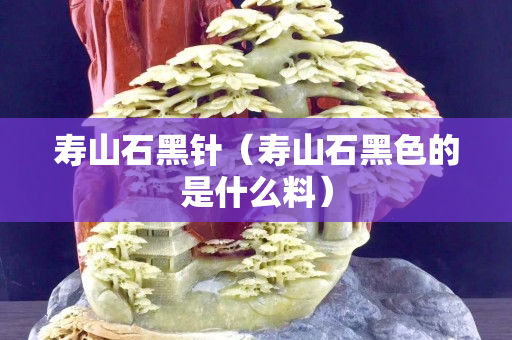 壽山石黑針（壽山石黑色的是什么料）
