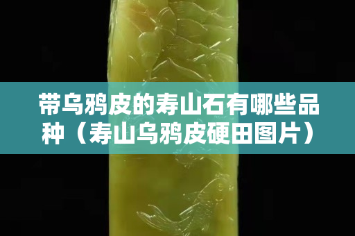 帶烏鴉皮的壽山石有哪些品種（壽山烏鴉皮硬田圖片）