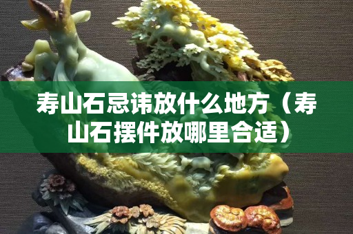 壽山石忌諱放什么地方（壽山石擺件放哪里合適）