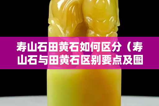 壽山石田黃石如何區分（壽山石與田黃石區別要點及圖片）
