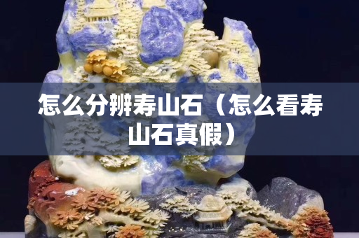 怎么分辨壽山石（怎么看壽山石真假）
