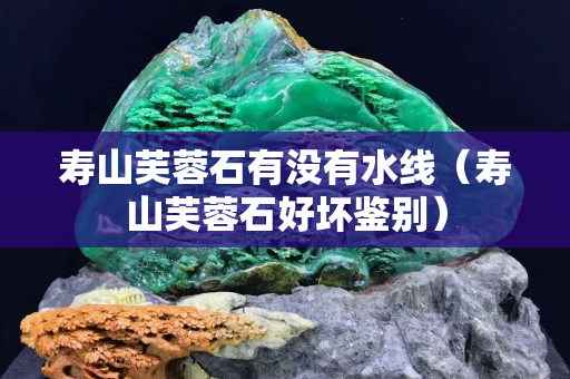 壽山芙蓉石有沒有水線（壽山芙蓉石好壞鑒別）