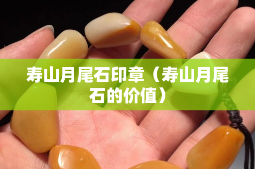 壽山月尾石印章（壽山月尾石的價值）