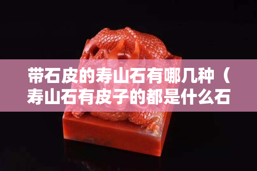 帶石皮的壽山石有哪幾種（壽山石有皮子的都是什么石頭）