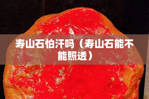 壽山石怕汗嗎（壽山石能不能照透）