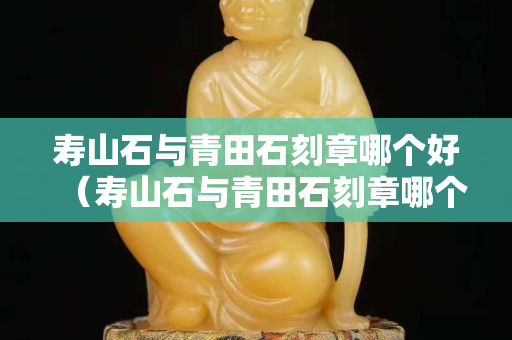 壽山石與青田石刻章哪個好（壽山石與青田石刻章哪個好看）