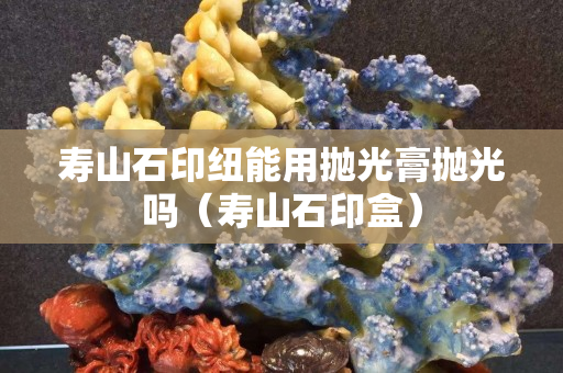 壽山石印紐能用拋光膏拋光嗎（壽山石印盒）