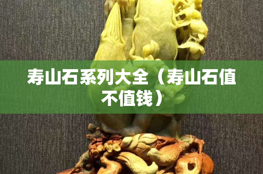 壽山石系列大全（壽山石值不值錢）