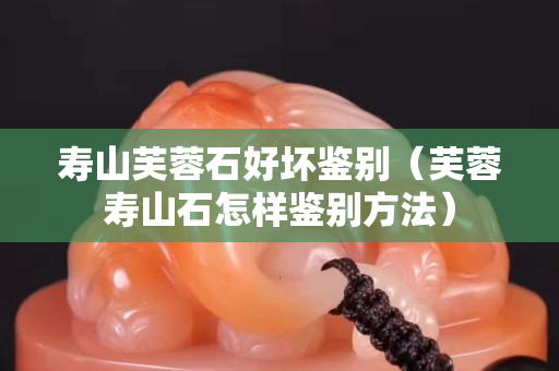 壽山芙蓉石好壞鑒別（芙蓉壽山石怎樣鑒別方法）