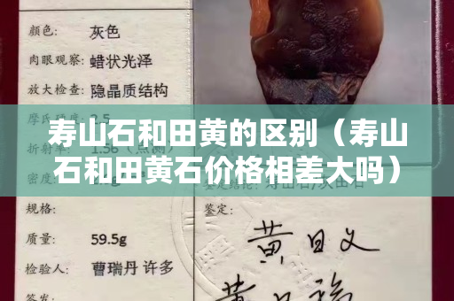 壽山石和田黃的區(qū)別（壽山石和田黃石價(jià)格相差大嗎）