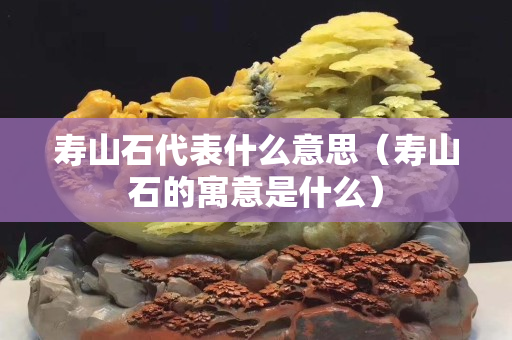 壽山石代表什么意思（壽山石的寓意是什么）