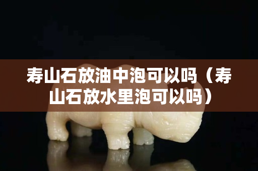 壽山石放油中泡可以嗎（壽山石放水里泡可以嗎）
